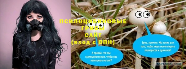 кокс Арсеньев