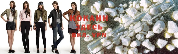 кокс Арсеньев